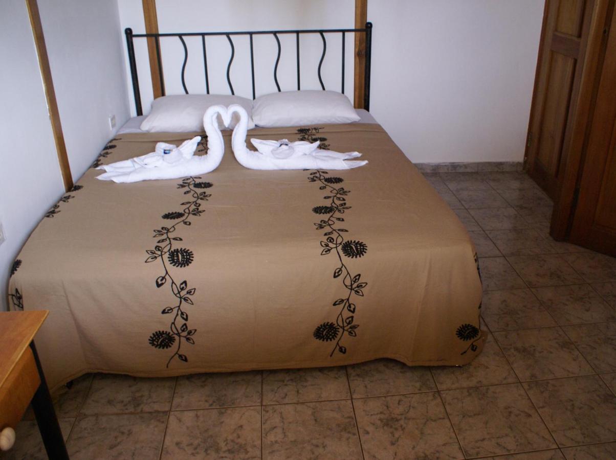 Hotel Posada Los Delfines Bocas Town Exterior photo